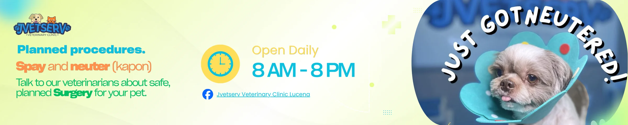 Planned procedures spay and neuter